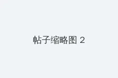 候鸟南飞的头像